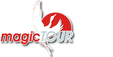 Туристическая компания Мейджик тур Хабаровск