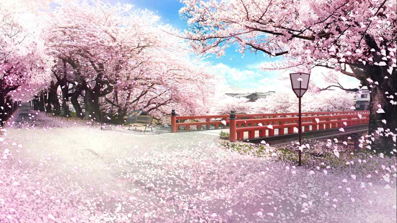 Цветение сакуры в Японии – праздник весеннего волшебства